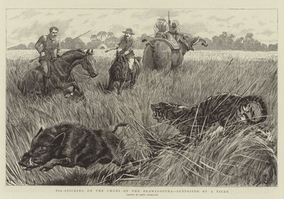 タイガーに驚かされたブラマプートラのチャーズにこだわる豚 作： John Charlton